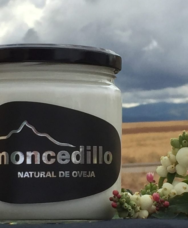 Moncedillo Yogur